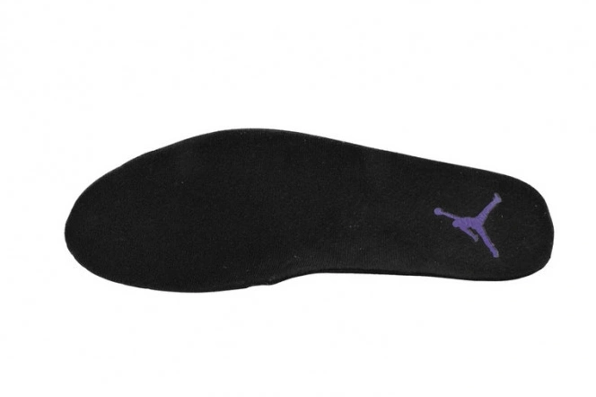 Reps TBkick Retro CT8013-057 Field Purple 12 Air Jordan 0727
